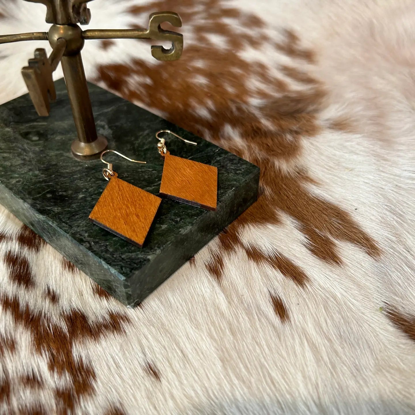 Cactus Theme Painted on Wood Earrings