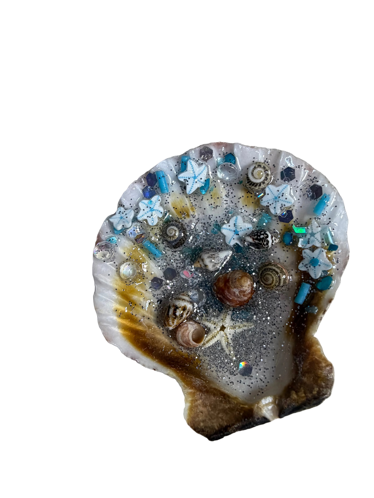 Resin Sea Shell Refrigerator Magnet Ocean Scene