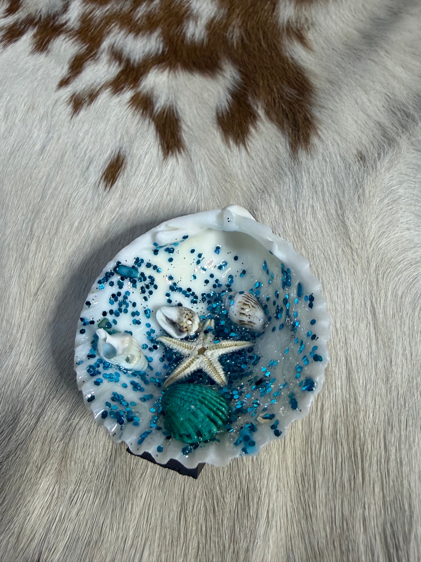 Refrigerator Magnet Resin Filled Sea Shell Ocean Scene Starfish