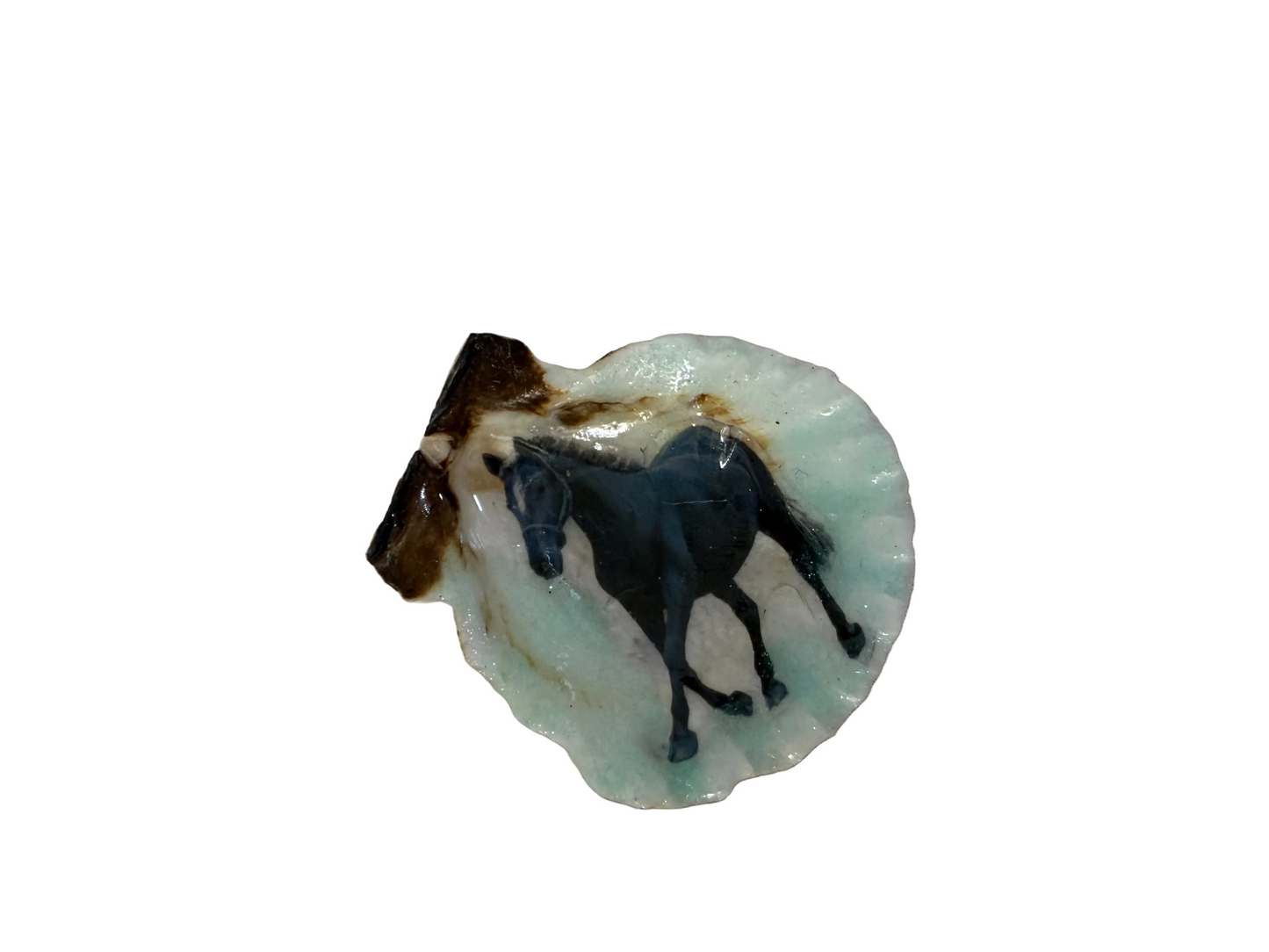 Resin Sea Shell Black Horse Refrigerator Magnet