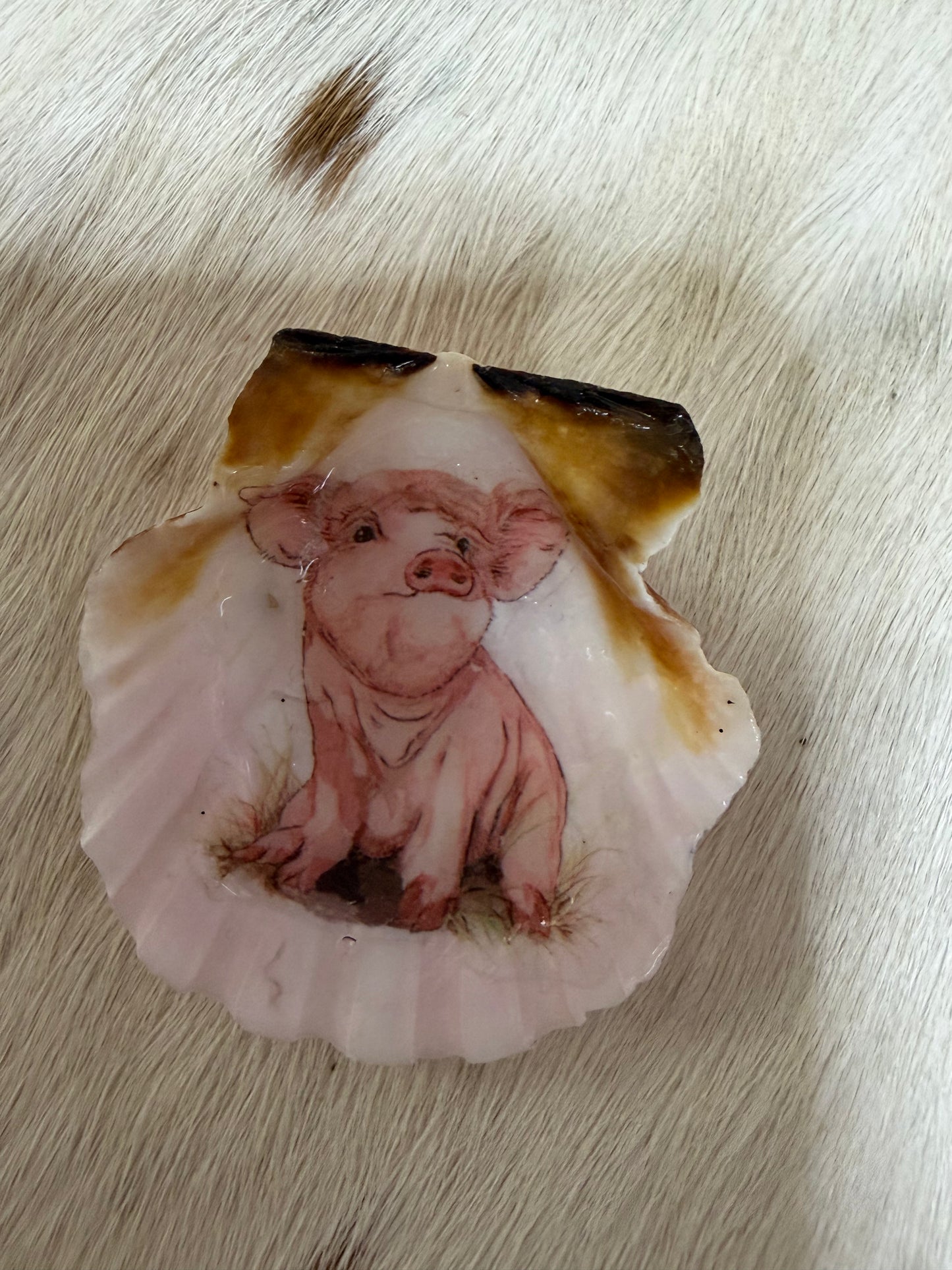 Refrigerator Magnet Pig Theme Resin Sea Shell