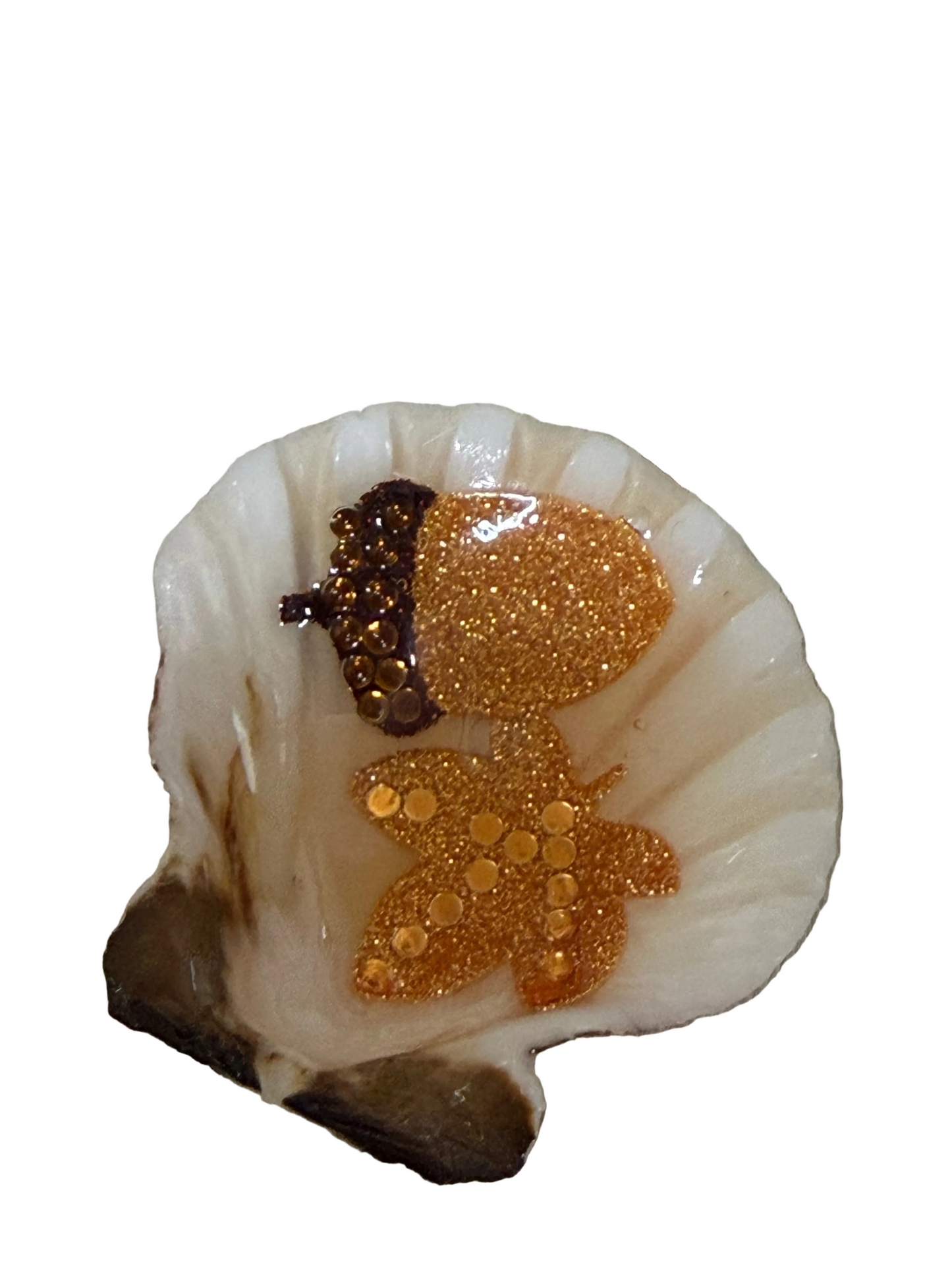 Resin Sea Shell Refrigerator Magnet Fall Theme Leaf acorn