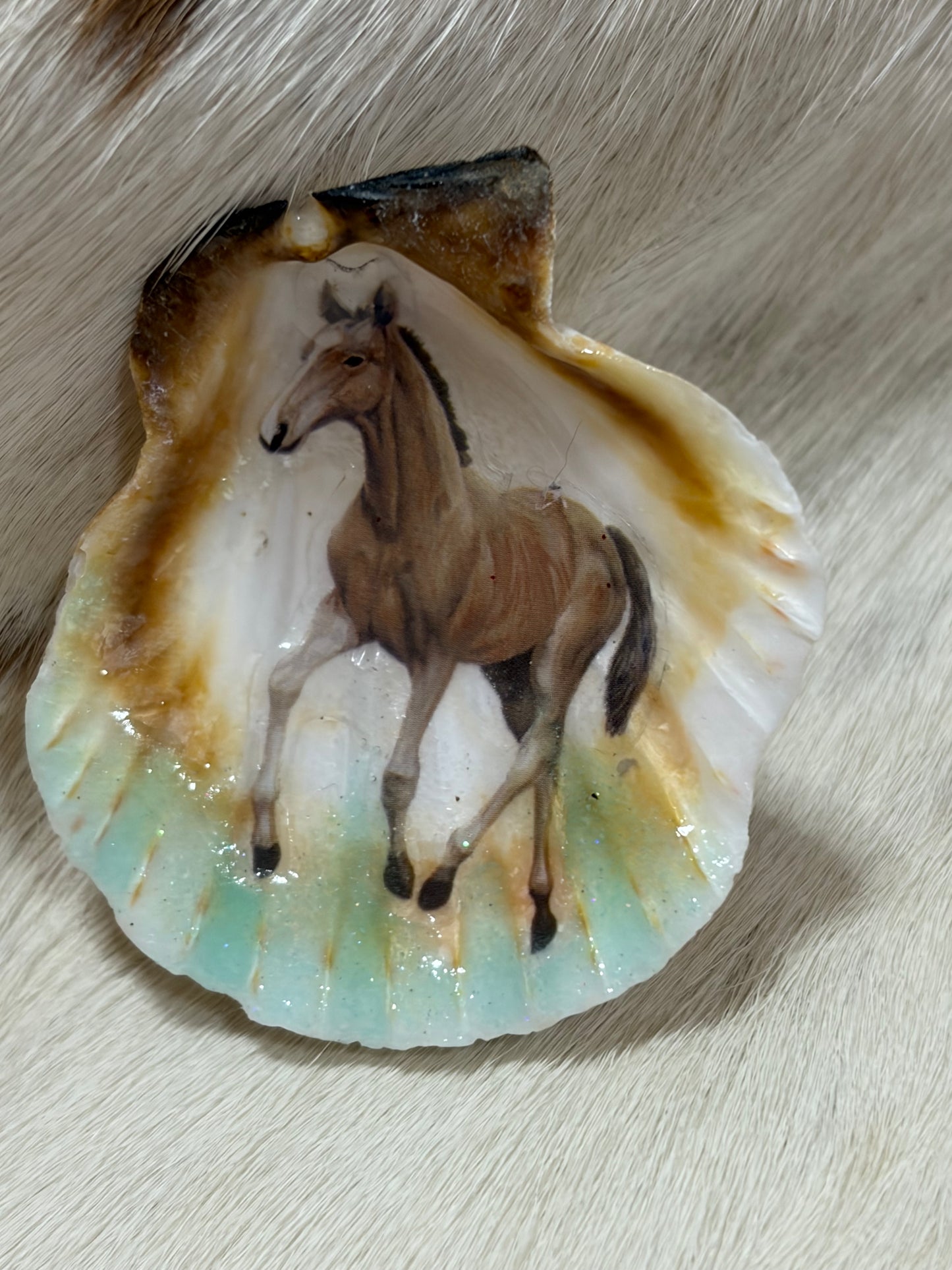 Sea Shell Horse Theme Resin Filled Refrigerator Magnet
