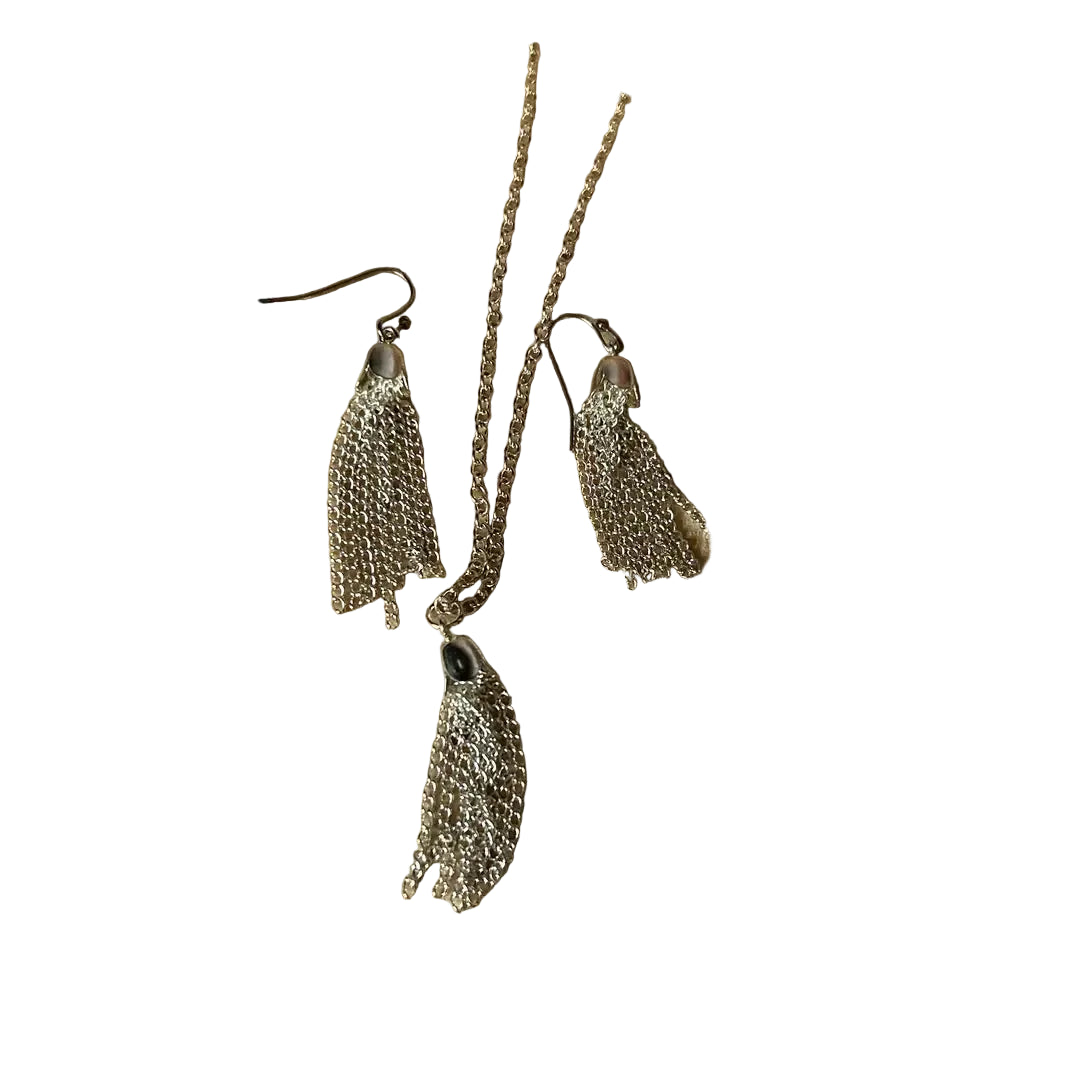 Western Silver Chain Necklace Earring Set