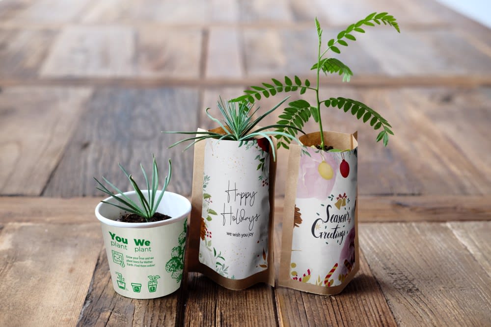 Holidays Tree Greetings Pack, We Plant 30 Trees-0