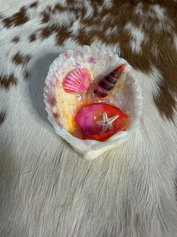 Refrigerator Magnet Ocean Scene Inside Sea Shell