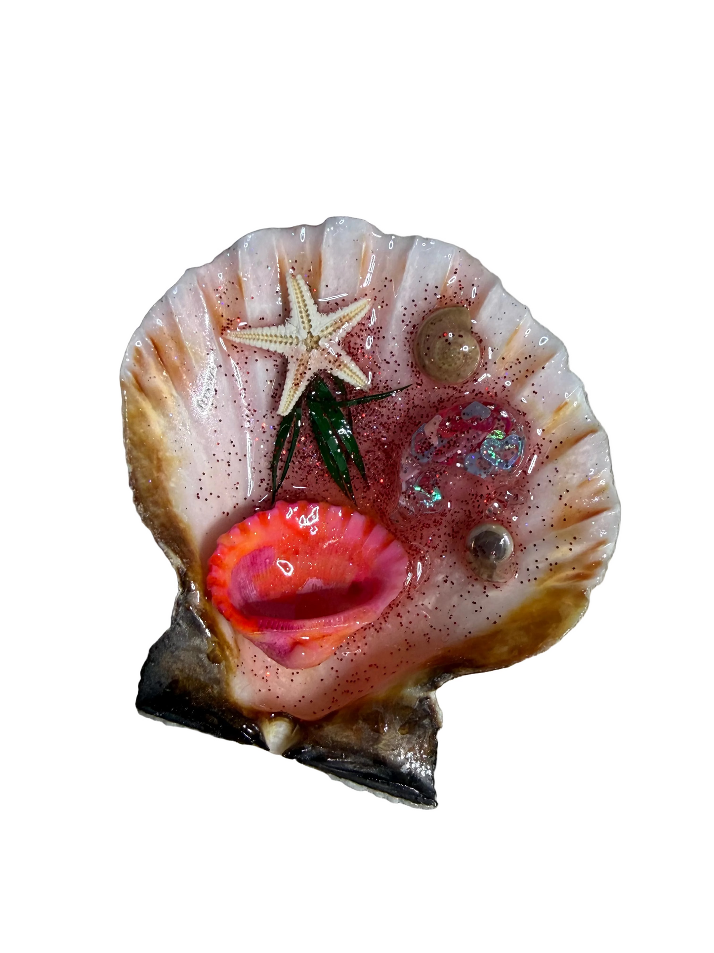 Resin Sea Shell Decoration Starfish Shells Refrigerator Magnet