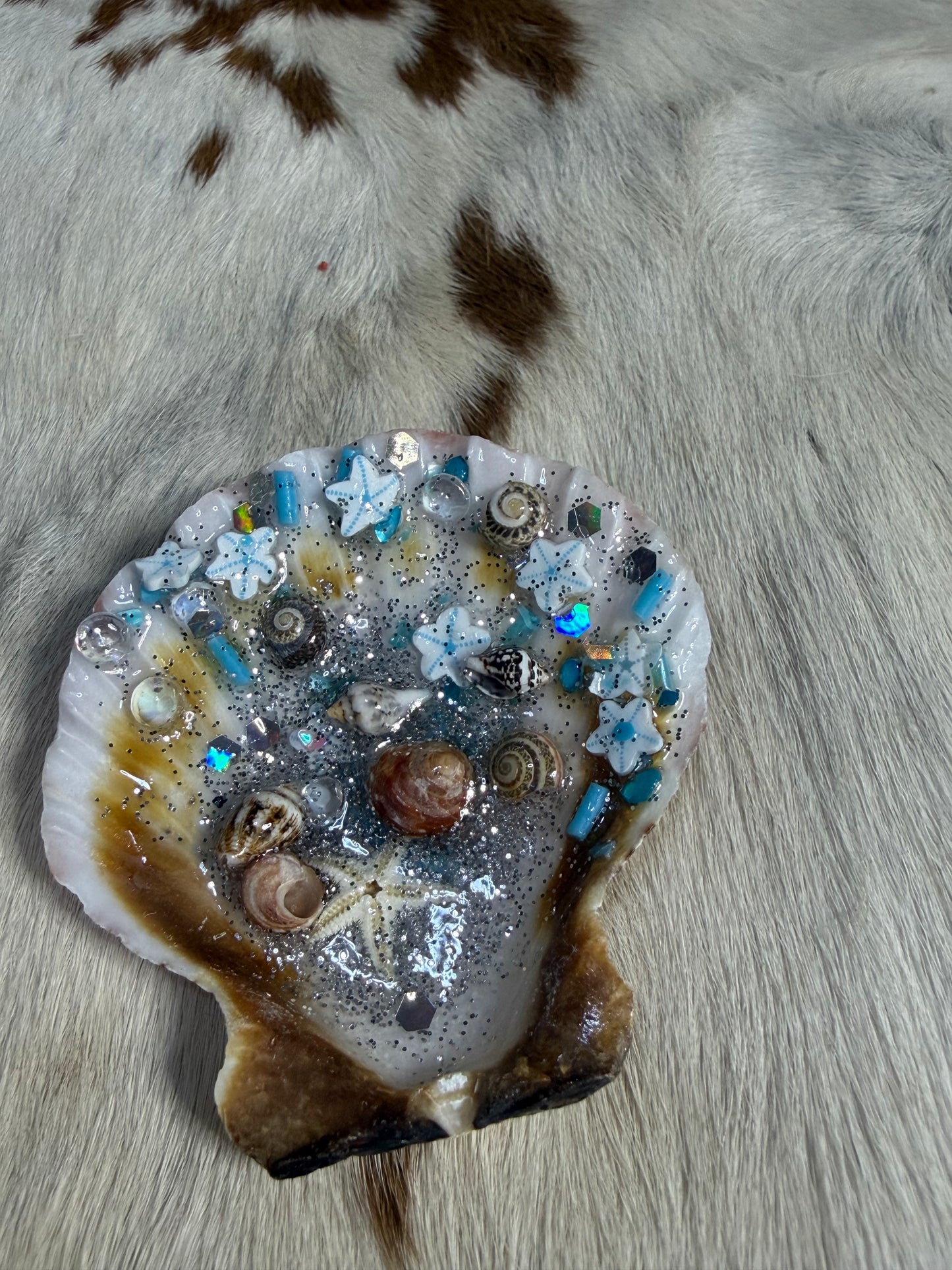 Resin Sea Shell Refrigerator Magnet Ocean Scene