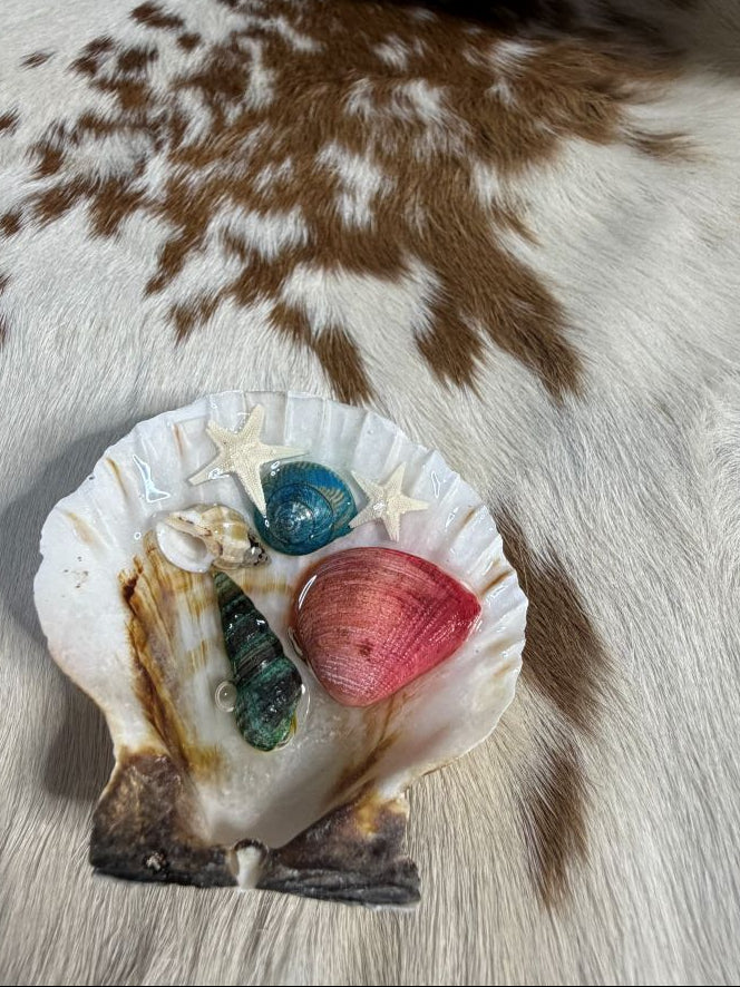 Sea Shell Resin Ocean Scene Refrigerator Magnets