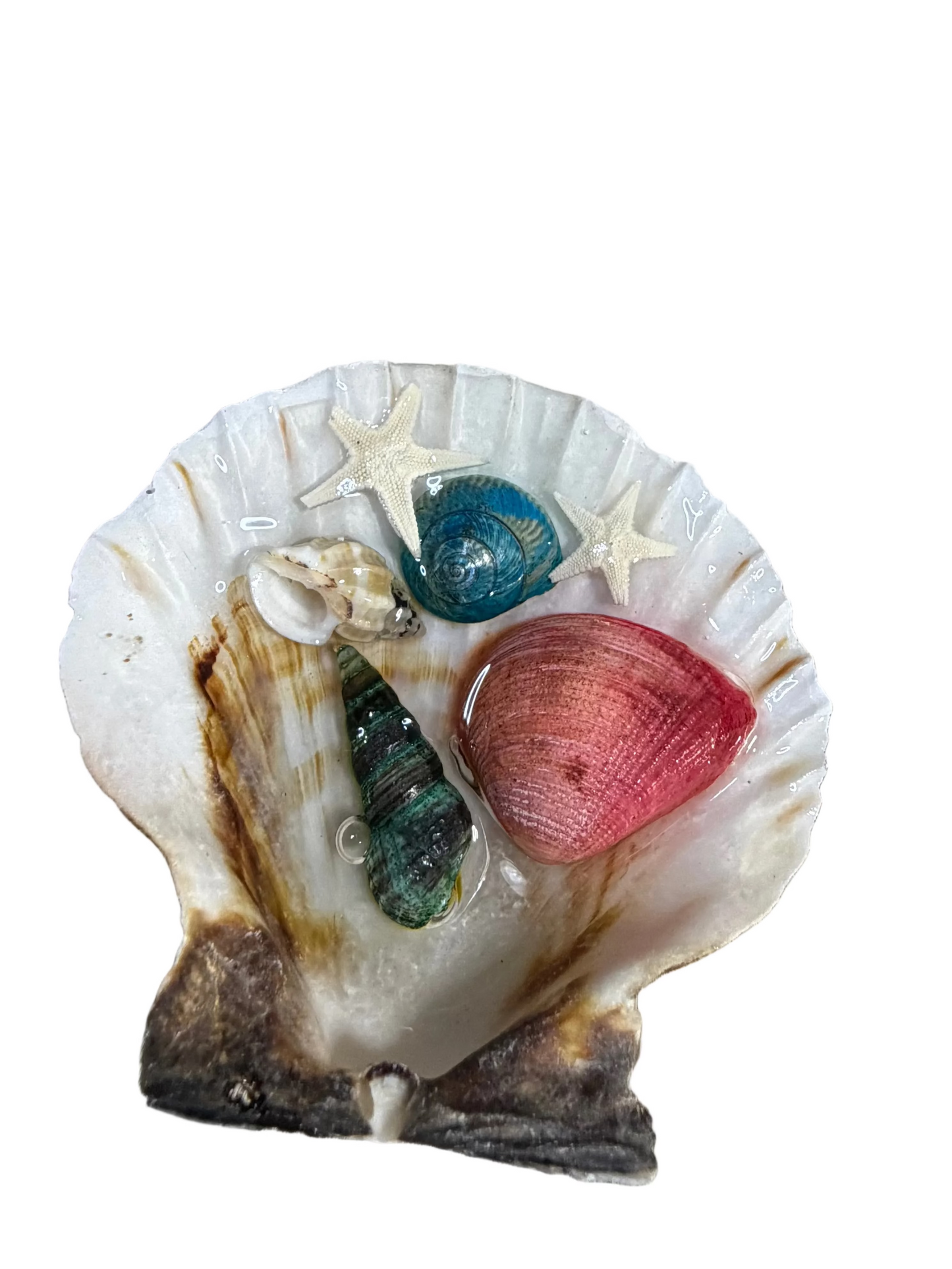 Sea Shell Resin Ocean Scene Refrigerator Magnets