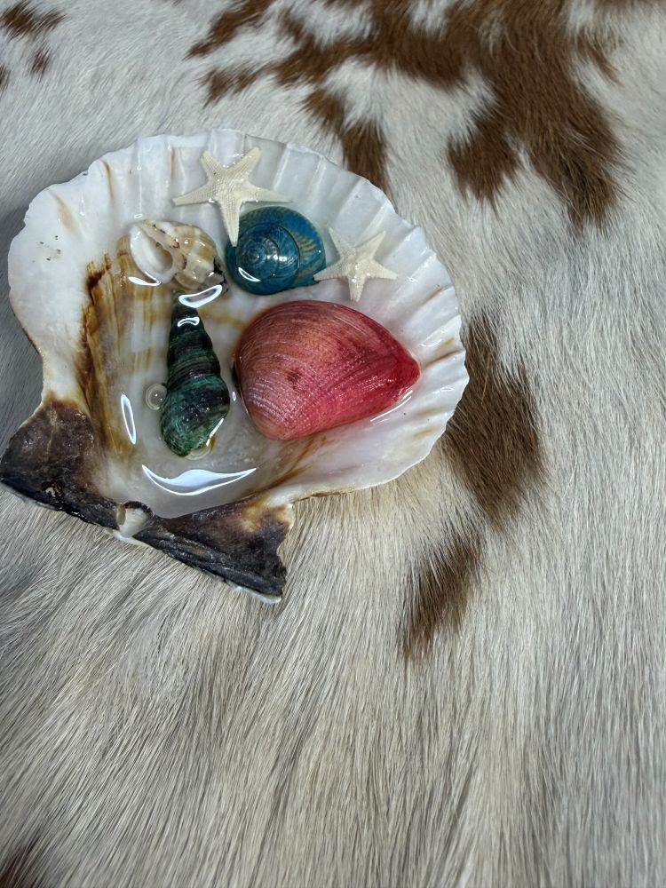 Sea Shell Resin Ocean Scene Refrigerator Magnets