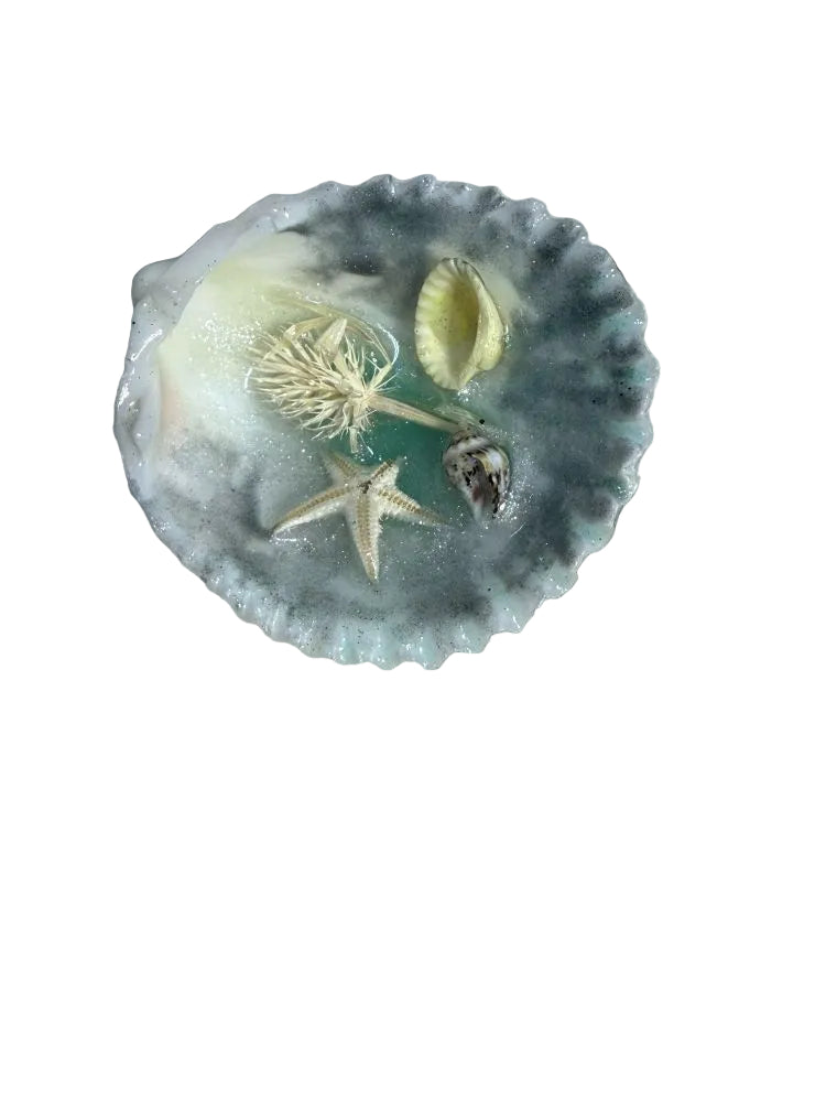 Resin Sea Shell Refrigerator Magnet Star Fish Shells