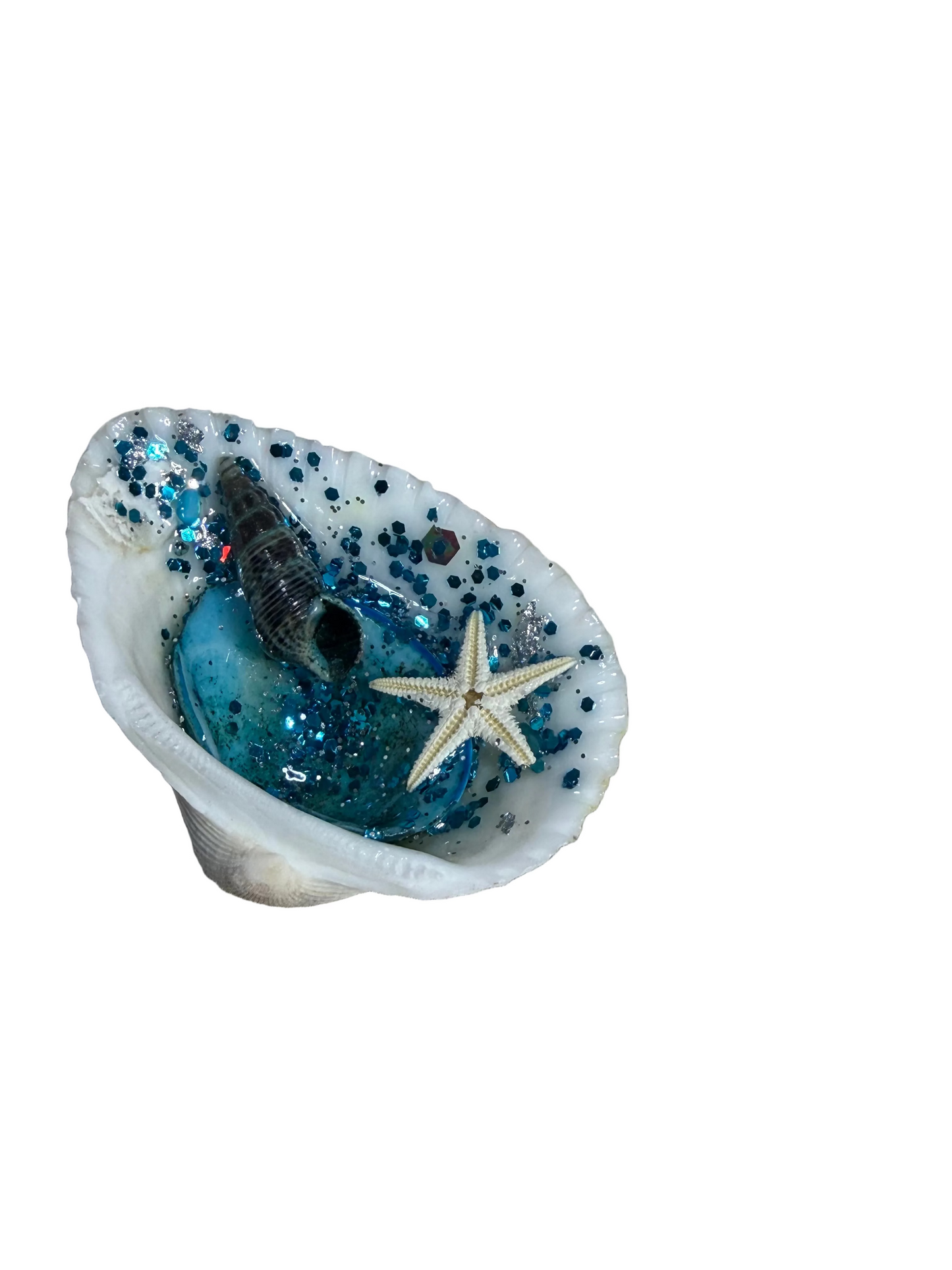 Star Fish Sea Shell Resin Refrigerator Magnet Ocean Scene