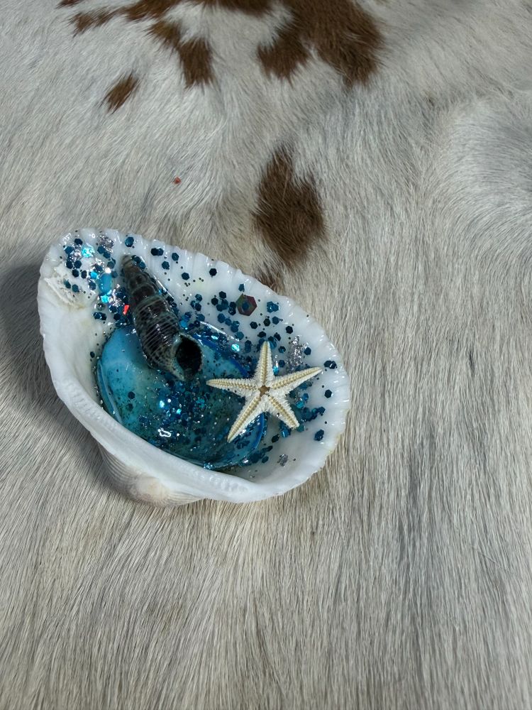Star Fish Sea Shell Resin Refrigerator Magnet Ocean Scene