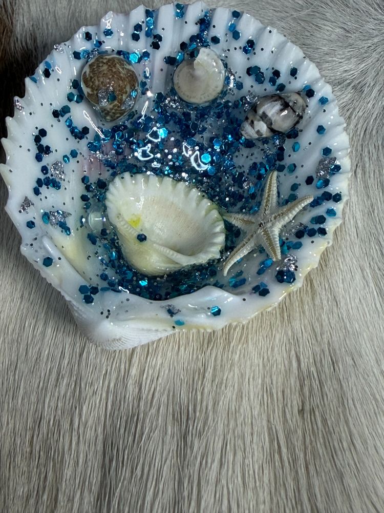 Resin Sea Shell Refrigerator Magnet Ocean Scene