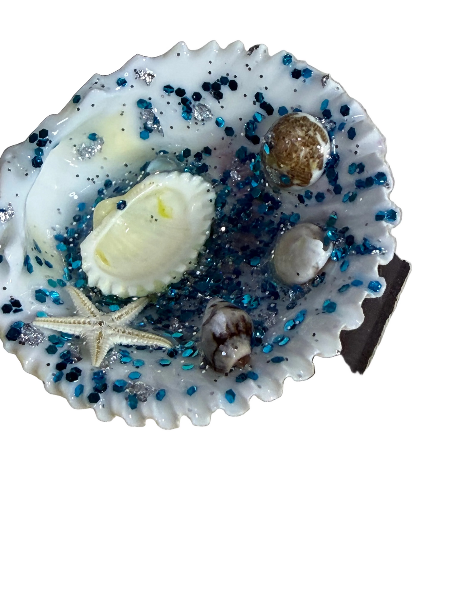 Resin Sea Shell Refrigerator Magnet Ocean Scene