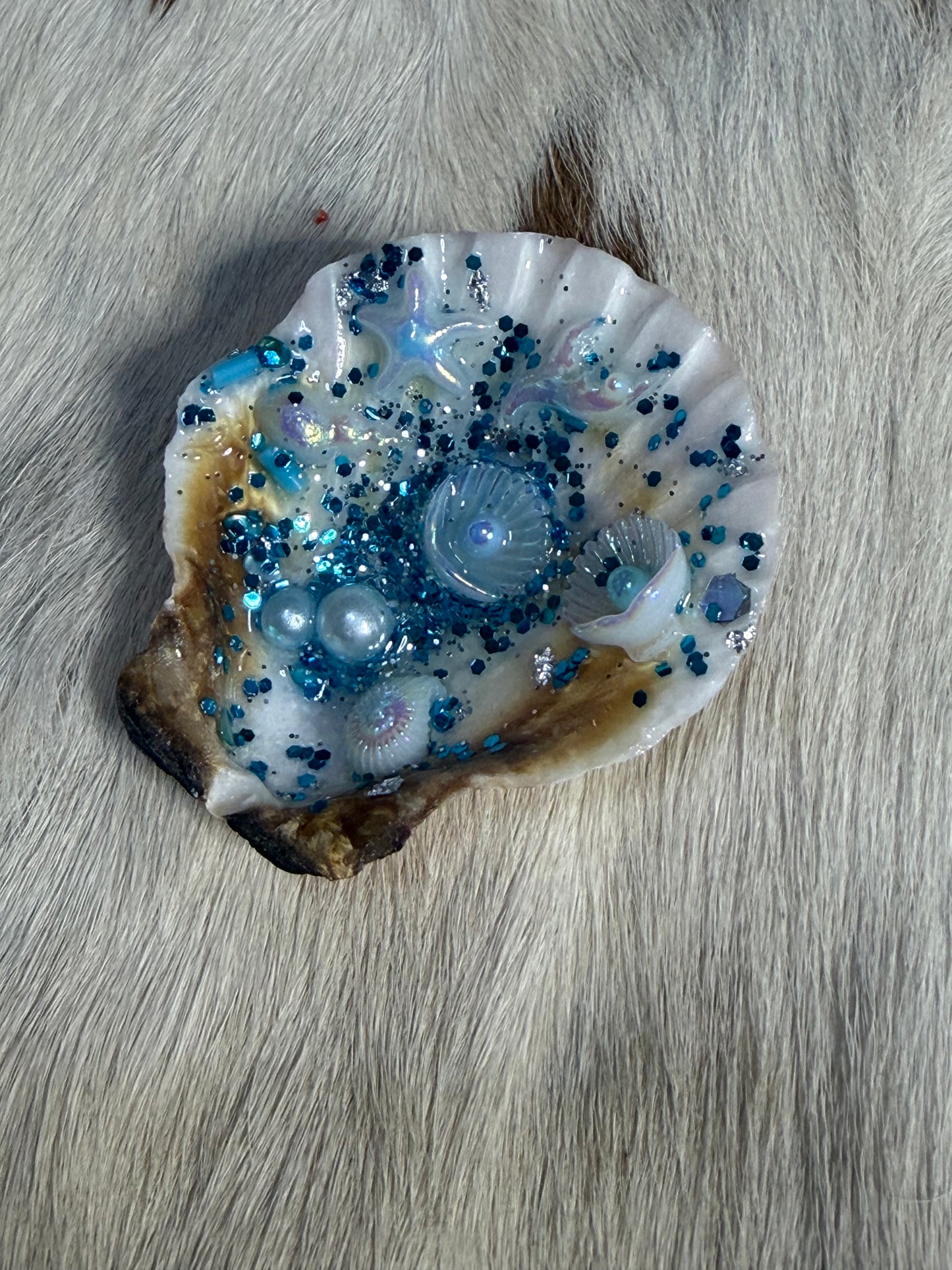 Resin Sea Shell Refrigerator Magnet Sea Shells Pearls