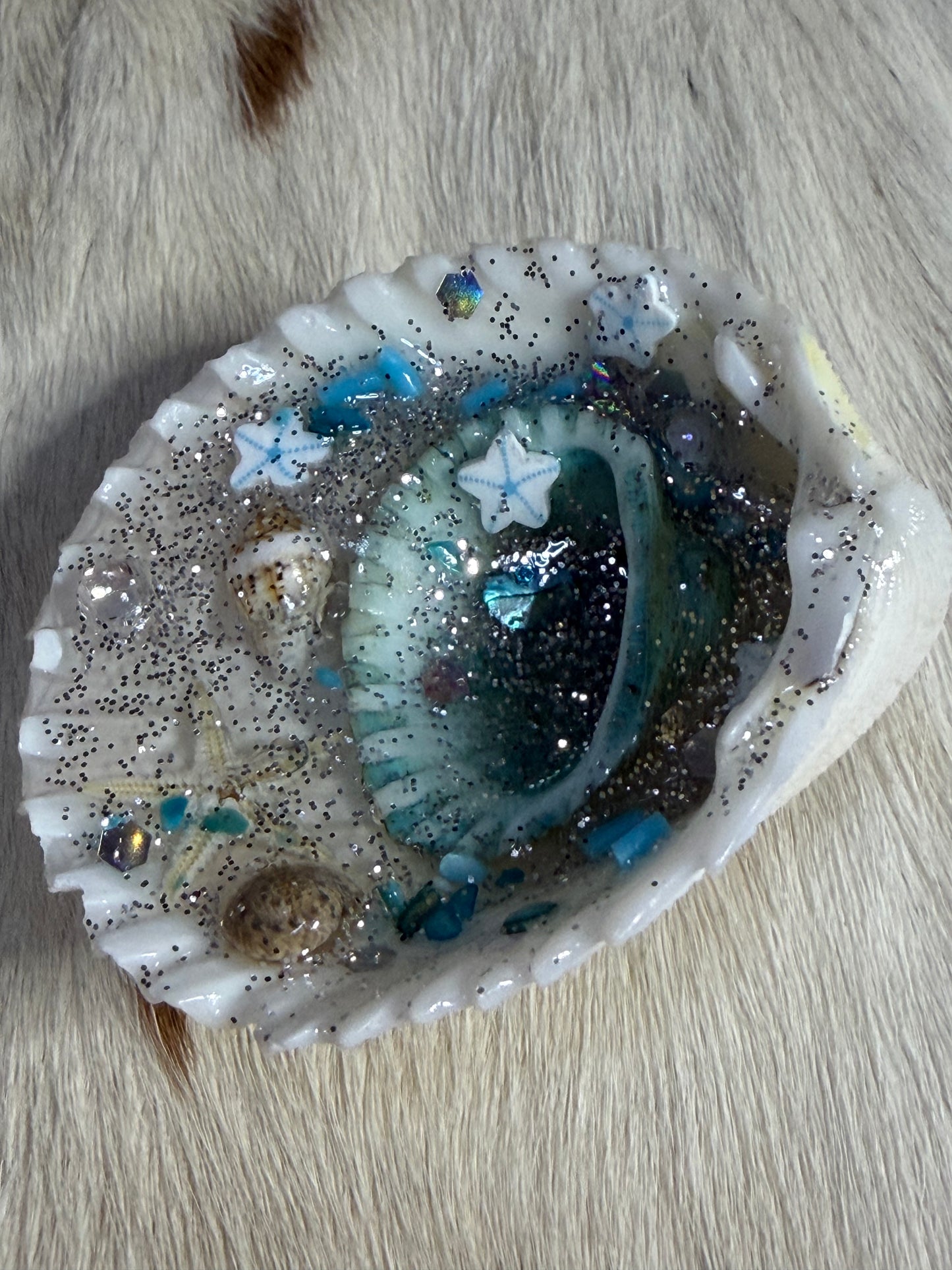 Resin Sea Shell Ocean Scene Refrigerator Magnet