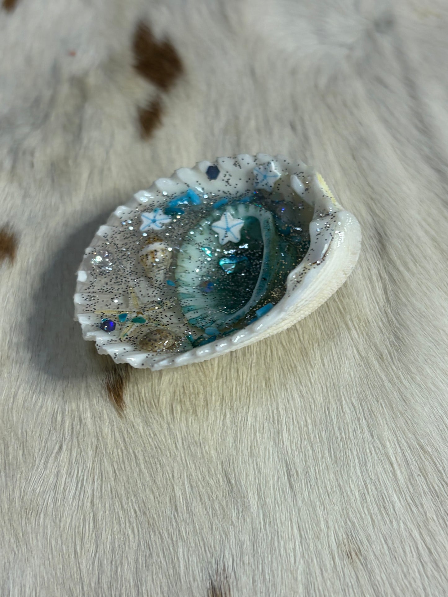 Resin Sea Shell Ocean Scene Refrigerator Magnet