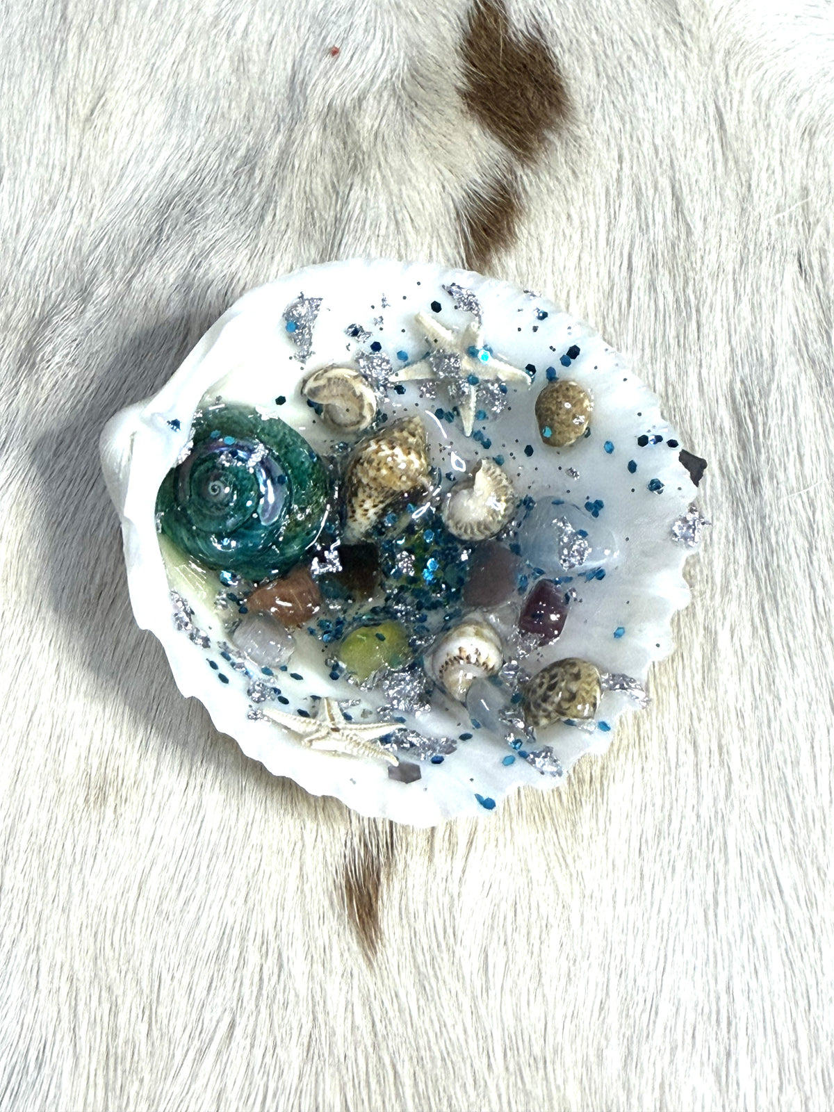 Sea Shell Resin Ocean Scene Refrigerator Magnet Starfish Shells