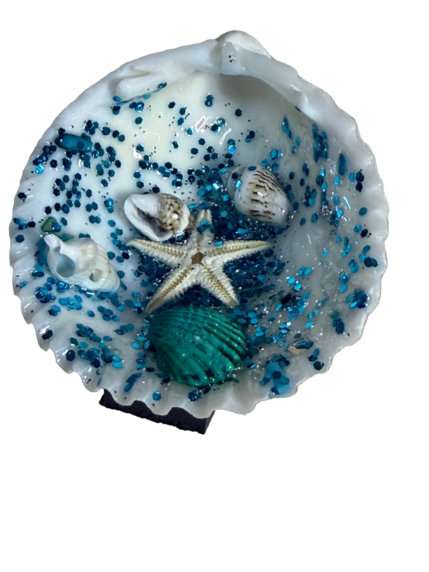 Refrigerator Magnet Resin Filled Sea Shell Ocean Scene Starfish
