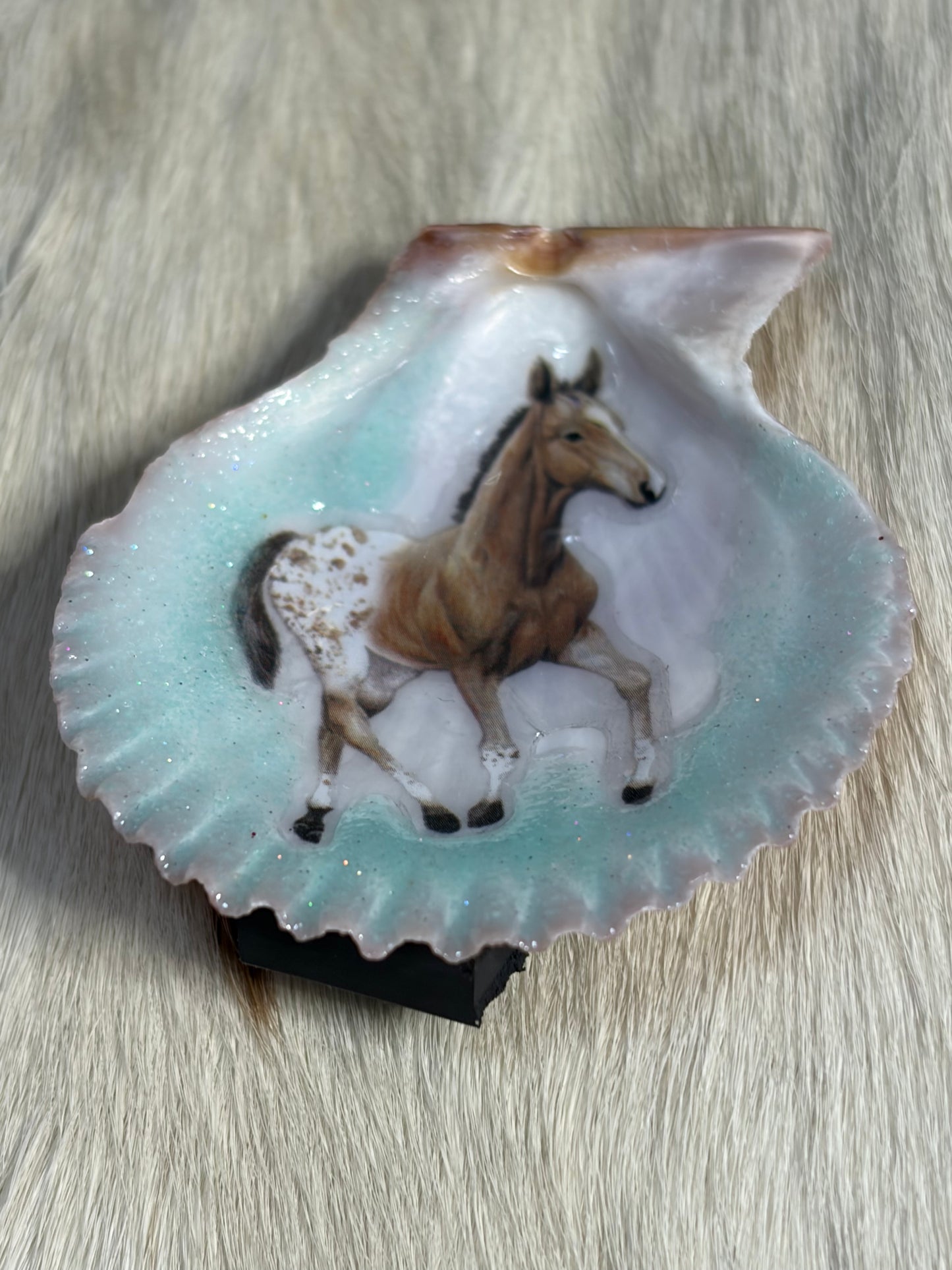 Resin Appaloosa Horse Seashell Refrigerator Magnet