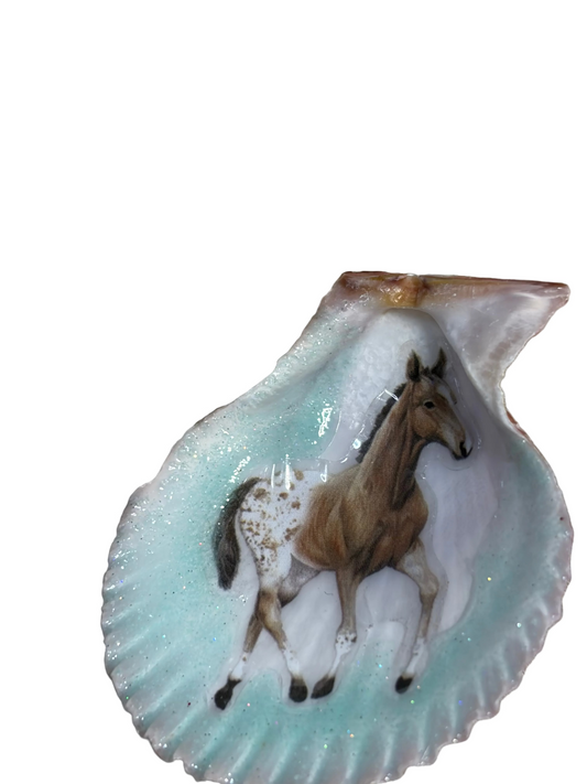 Resin Appaloosa Horse Seashell Refrigerator Magnet