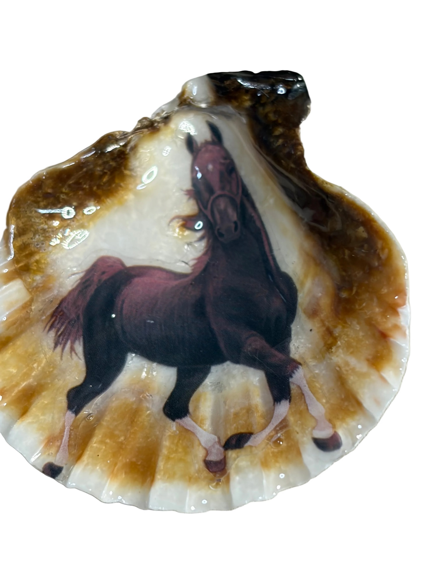 Resin Sea Shell Horse Theme Refrigerator Magnet