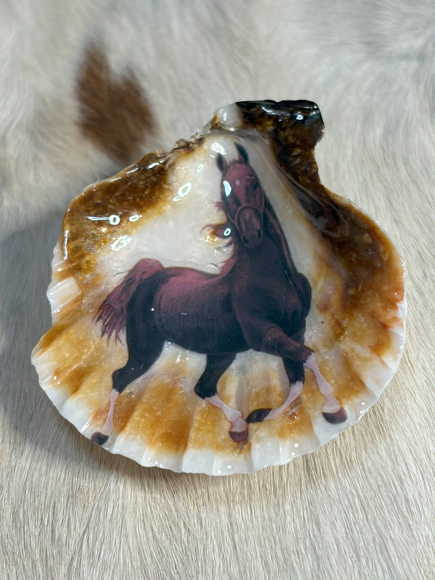 Resin Sea Shell Horse Theme Refrigerator Magnet