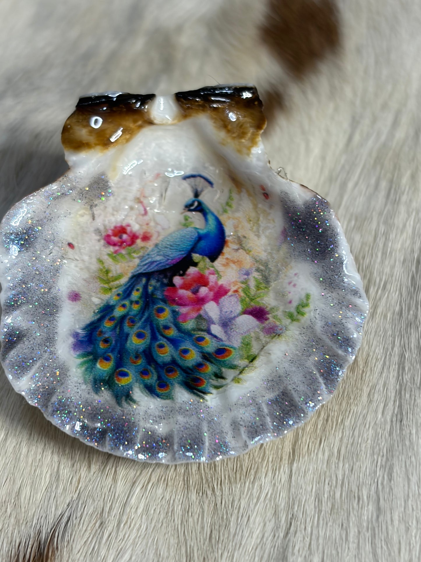 Peacock Sea Shell Refrigerator Magnet