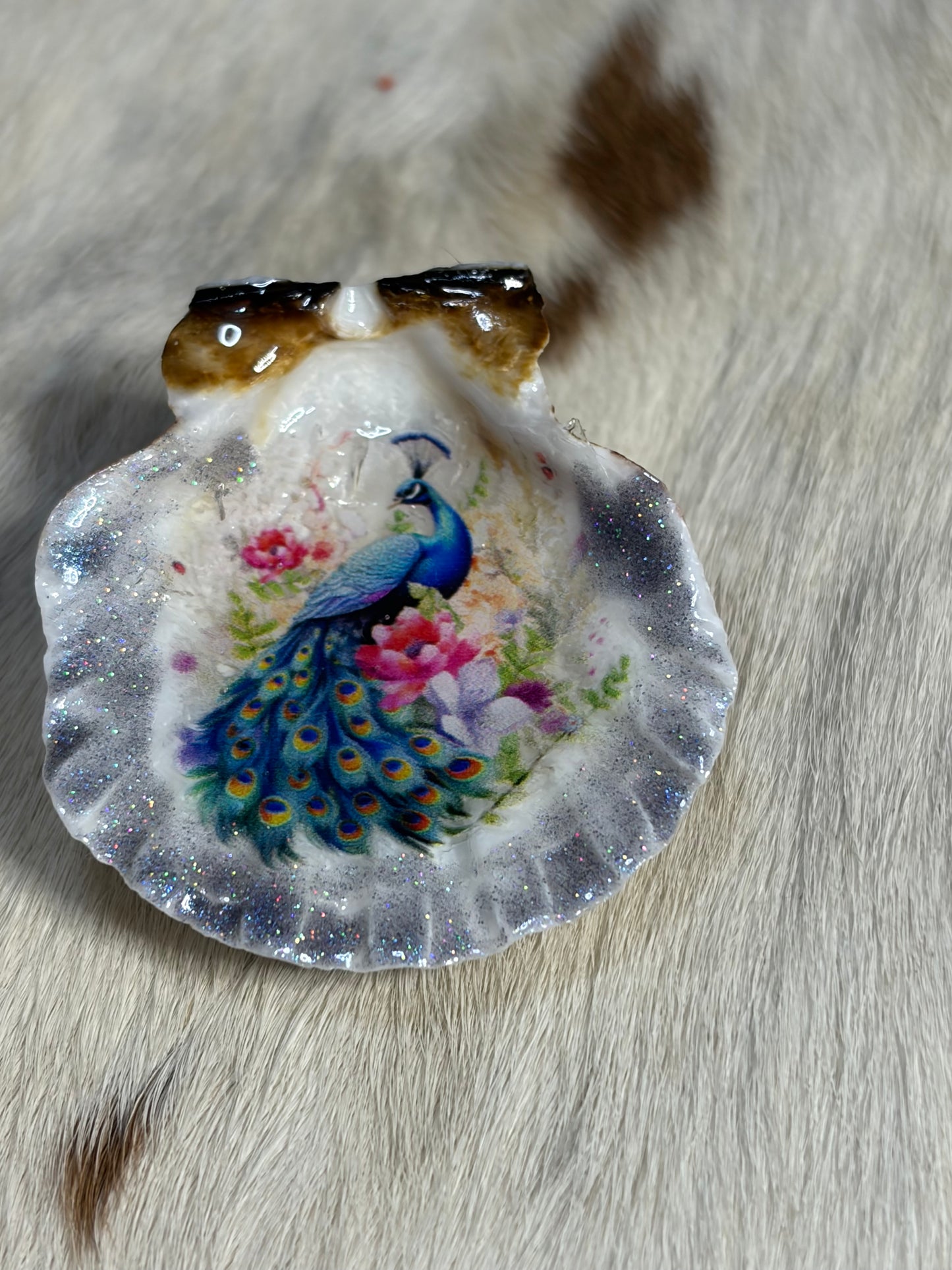 Peacock Sea Shell Refrigerator Magnet