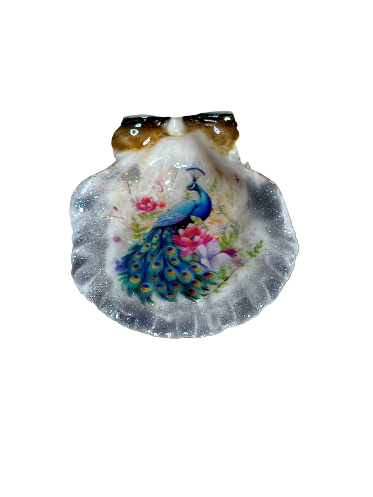Peacock Sea Shell Refrigerator Magnet
