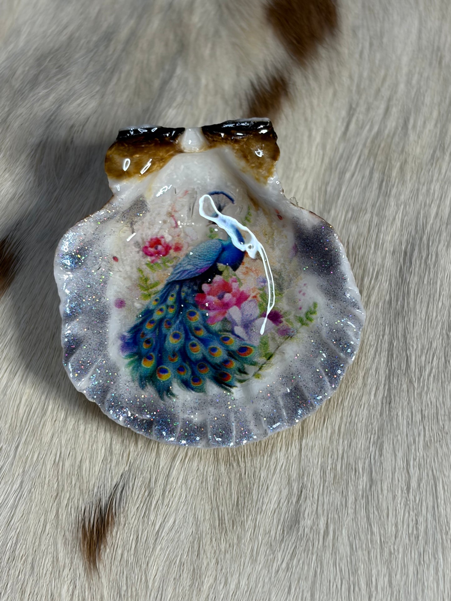 Peacock Sea Shell Refrigerator Magnet