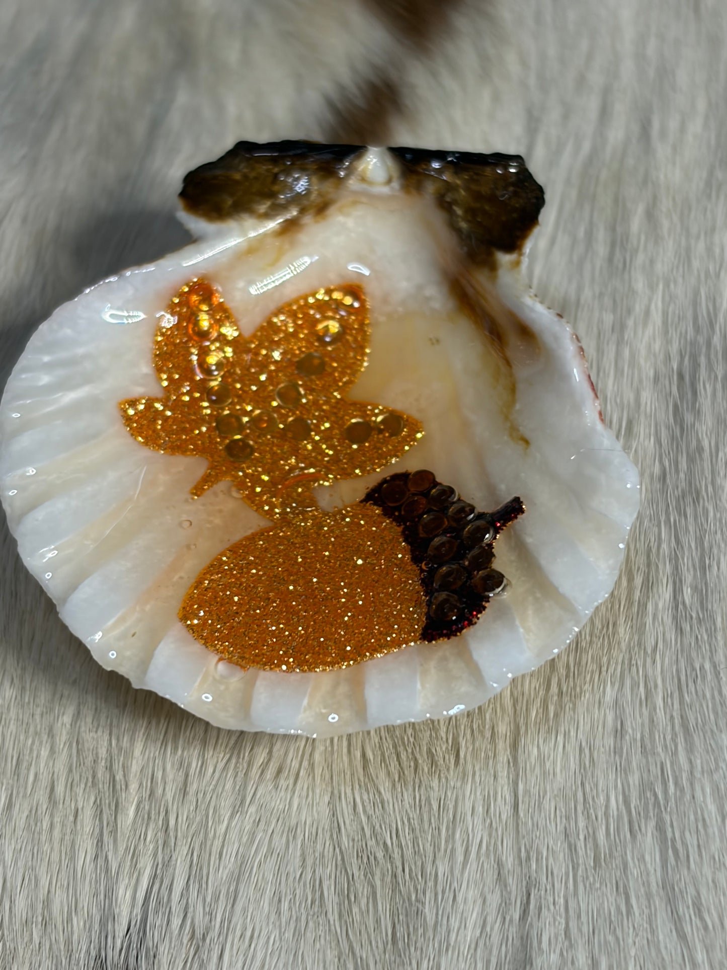Resin Sea Shell Refrigerator Magnet Fall Theme Leaf  acorn