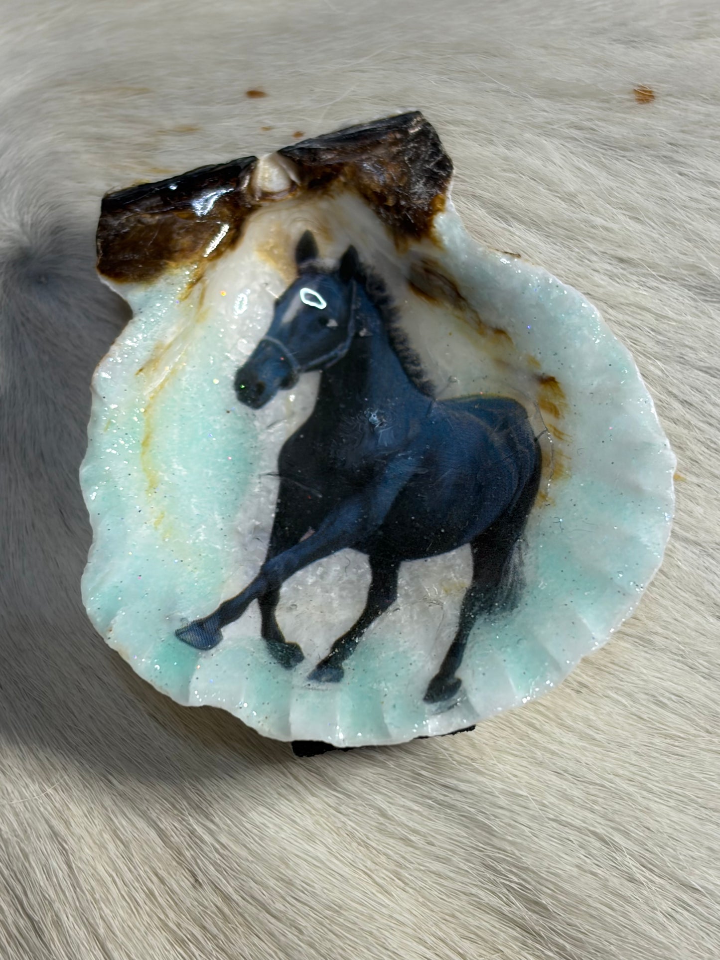 Resin Sea Shell Black Horse Refrigerator Magnet