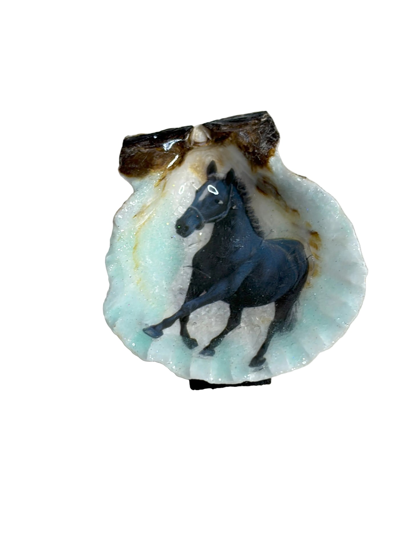 Resin Sea Shell Black Horse Refrigerator Magnet