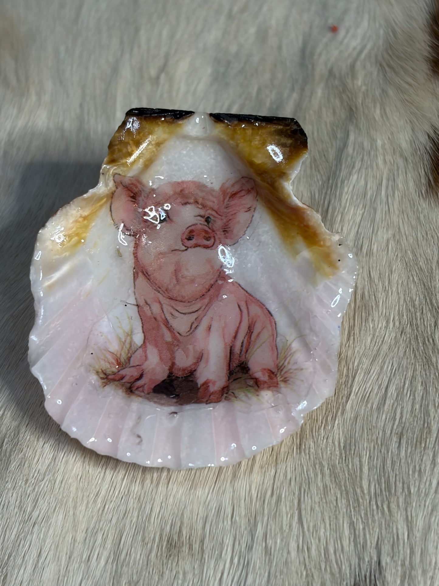Refrigerator Magnet Pig Theme Resin Sea Shell
