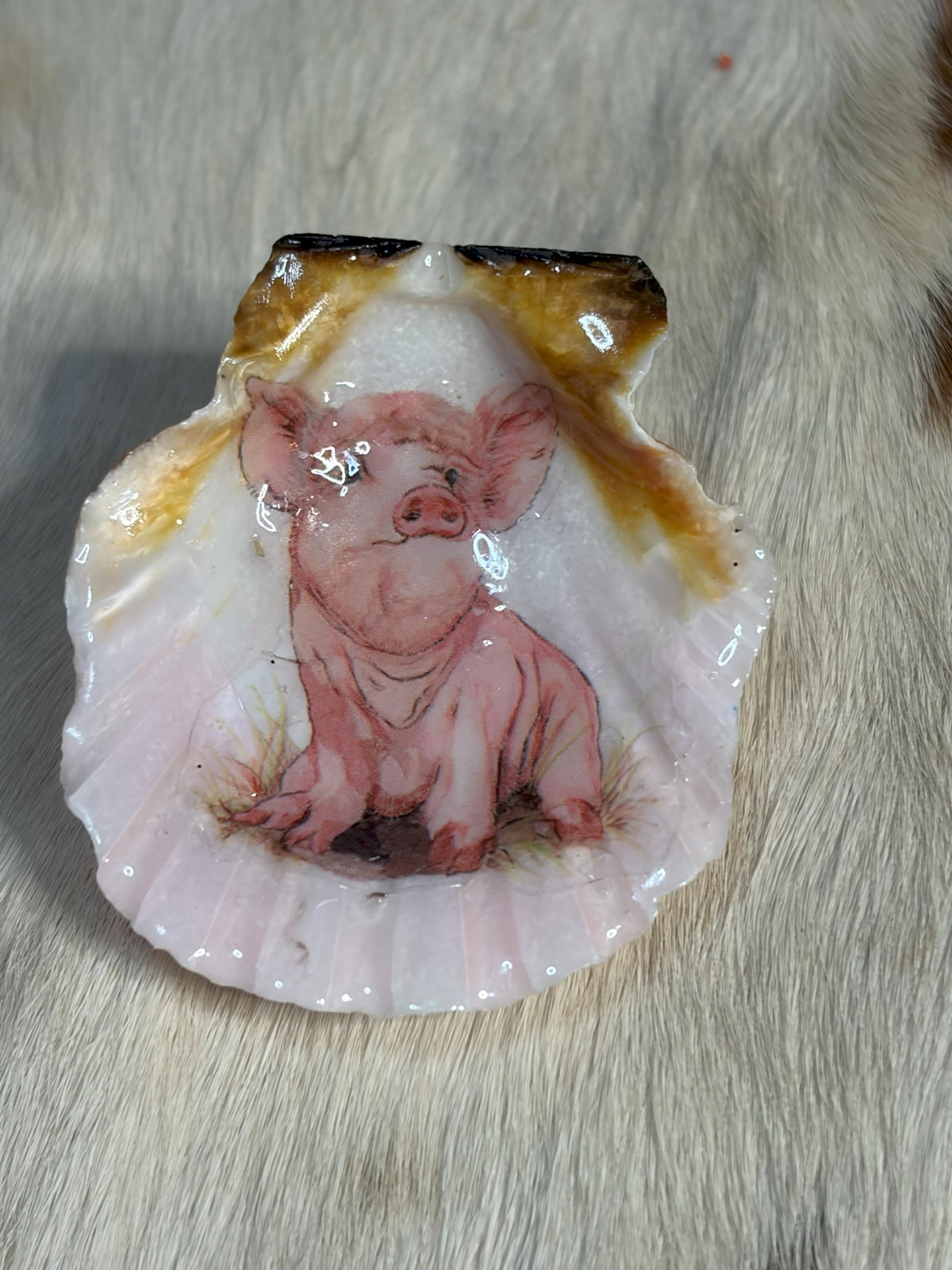 Refrigerator Magnet Pig Theme Resin Sea Shell