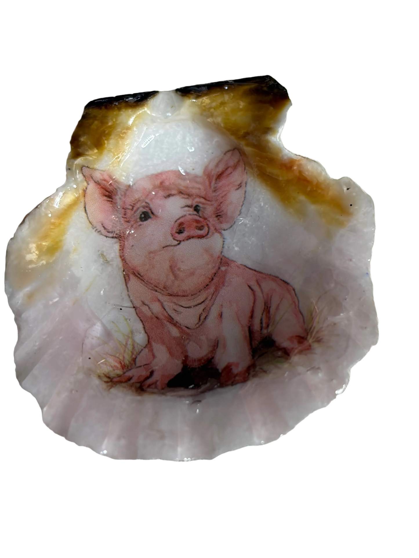 Refrigerator Magnet Pig Theme Resin Sea Shell