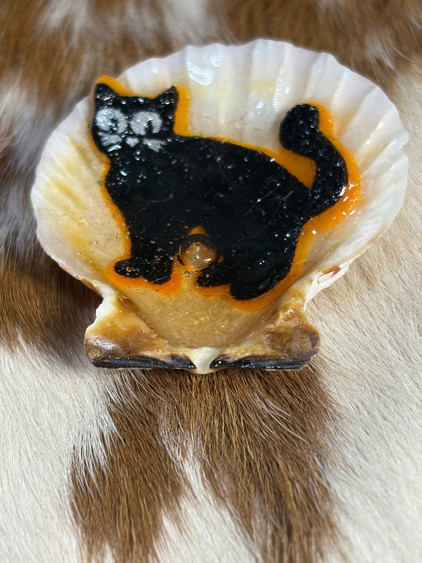 Resin Sea Shell Black Holloween kitty Refrigerator Magnet