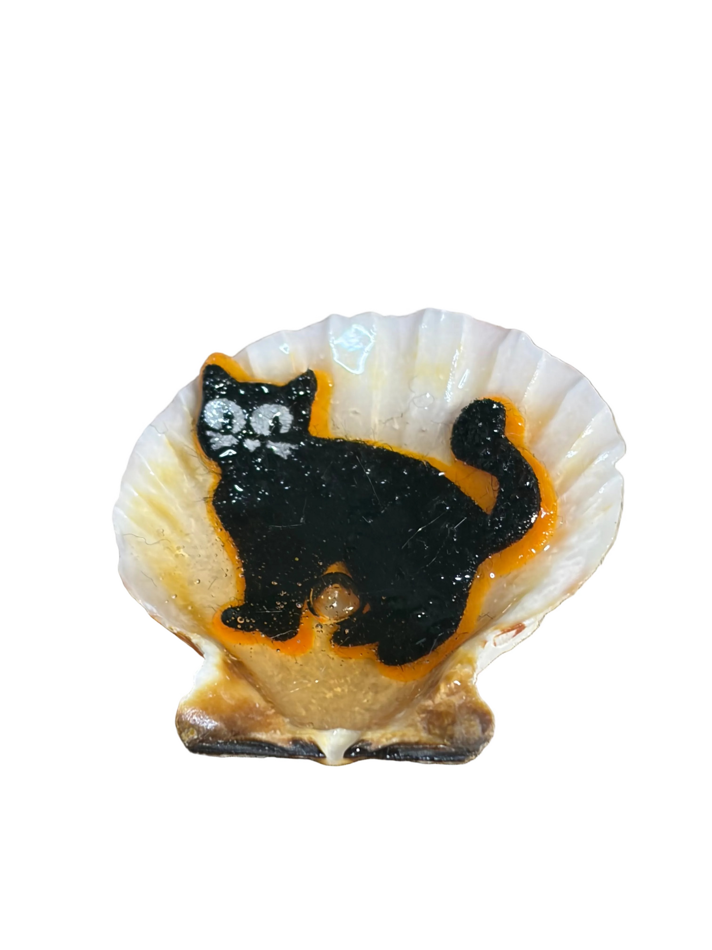 Resin Sea Shell Black Holloween kitty Refrigerator Magnet