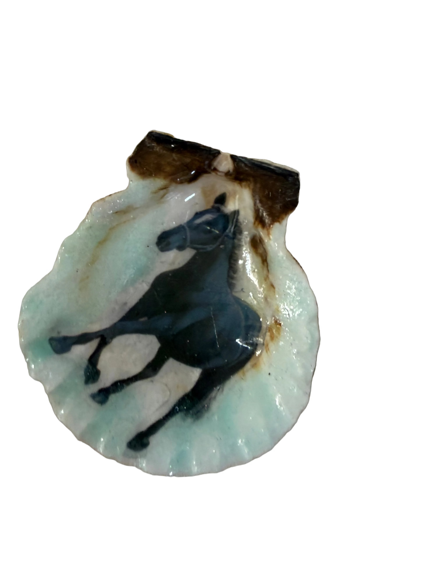 Resin Sea Shell Black Horse Refrigerator Magnet