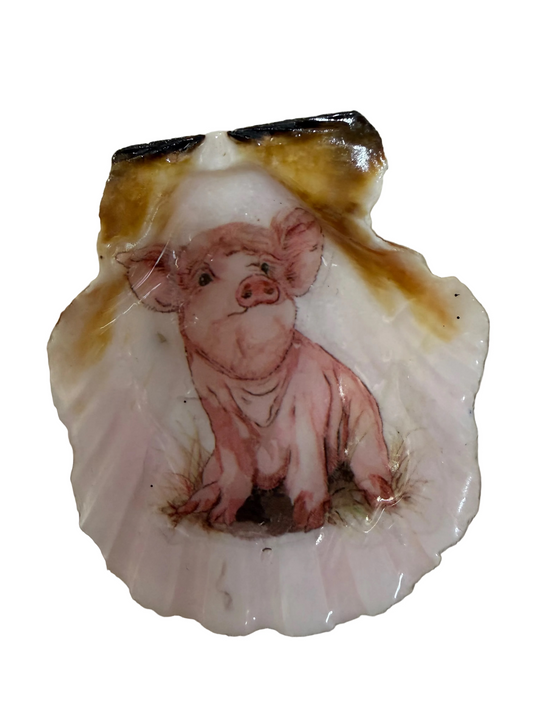 Refrigerator Magnet Pig Theme Resin Sea Shell