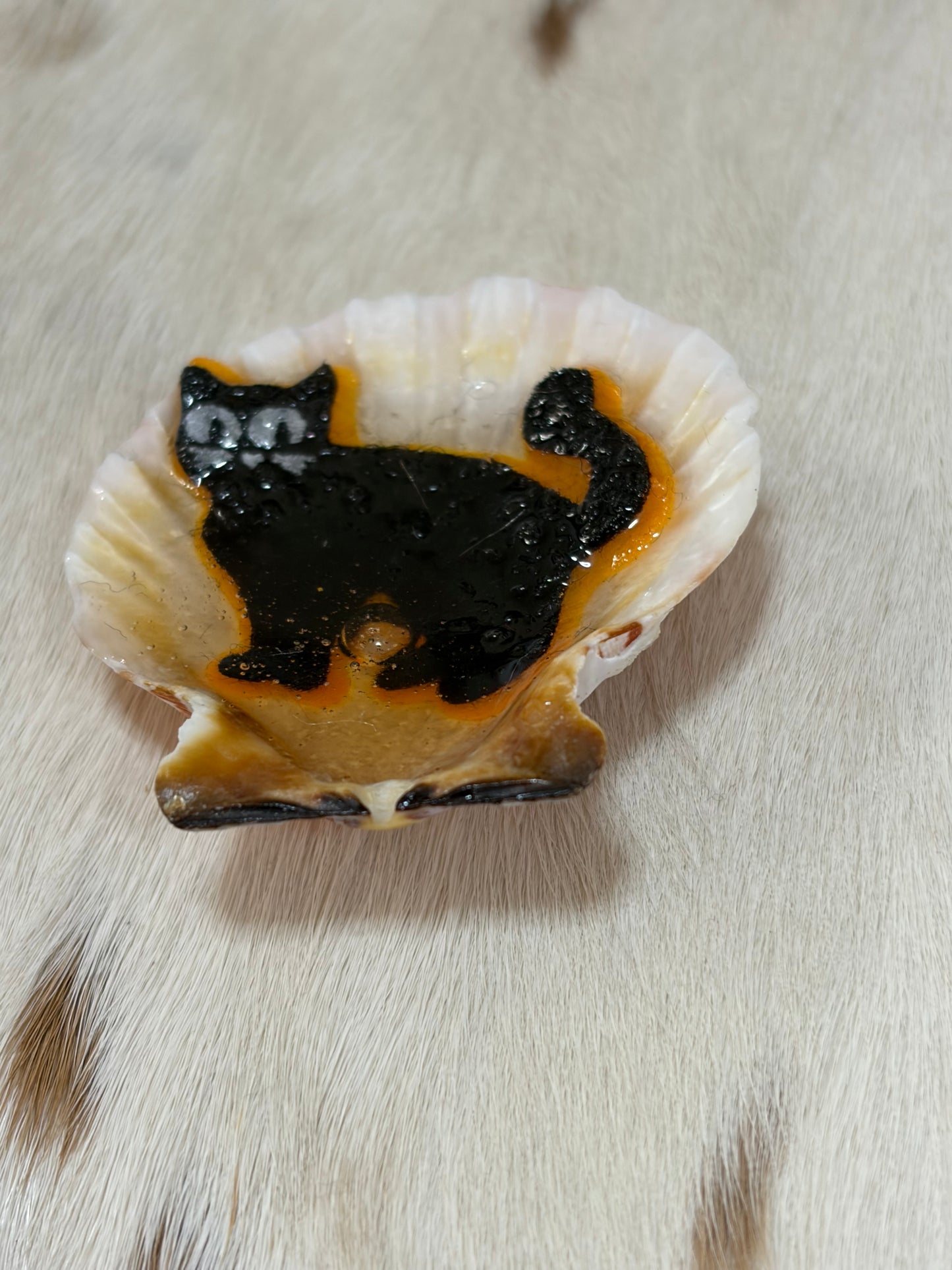 Resin Sea Shell Black Holloween kitty Refrigerator Magnet