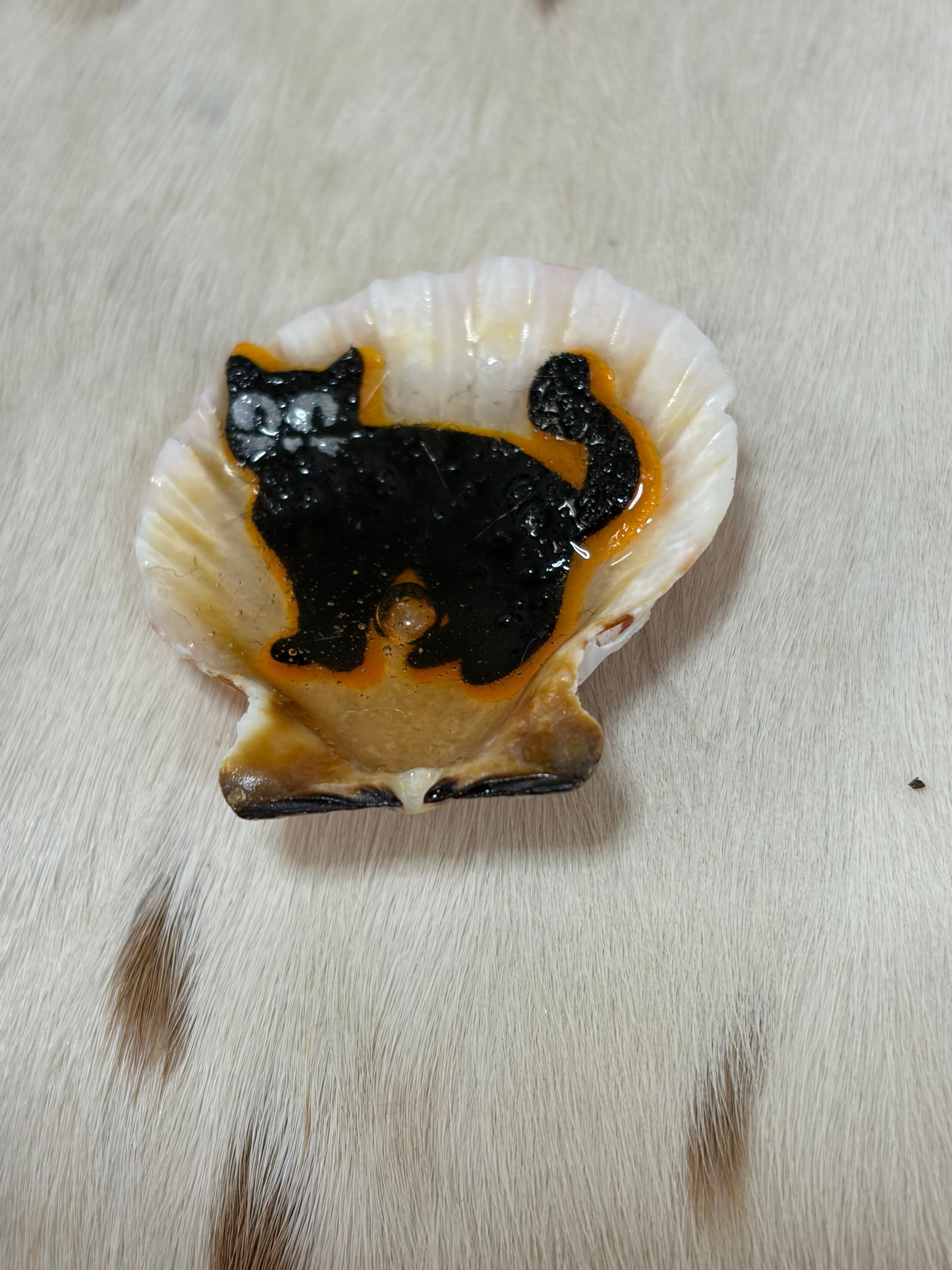 Resin Sea Shell Black Holloween kitty Refrigerator Magnet