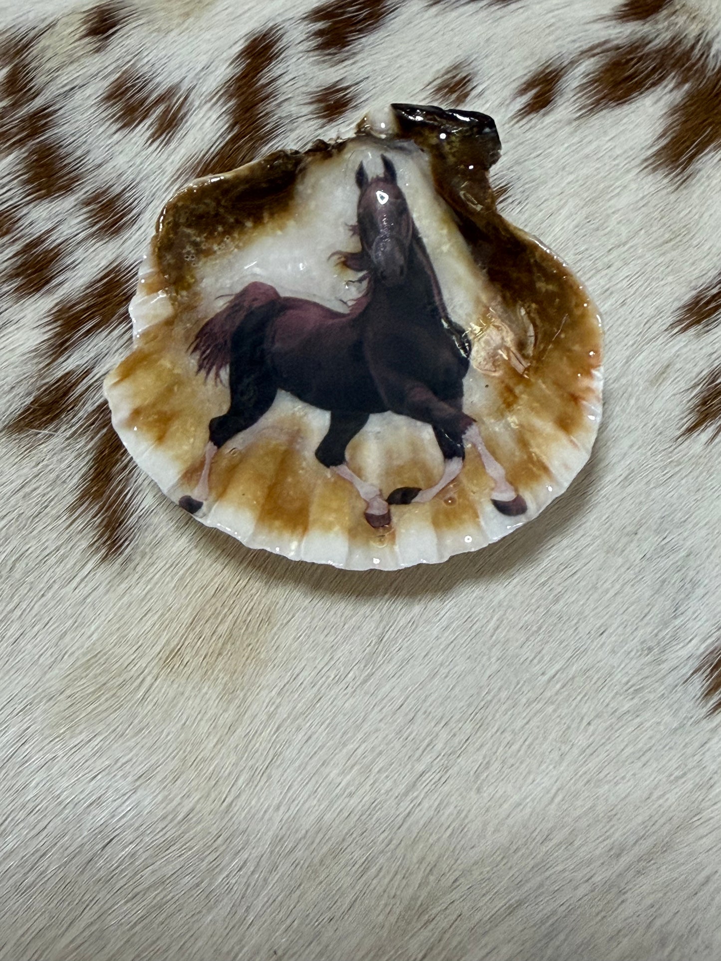 Resin Sea Shell Horse Theme Refrigerator Magnet