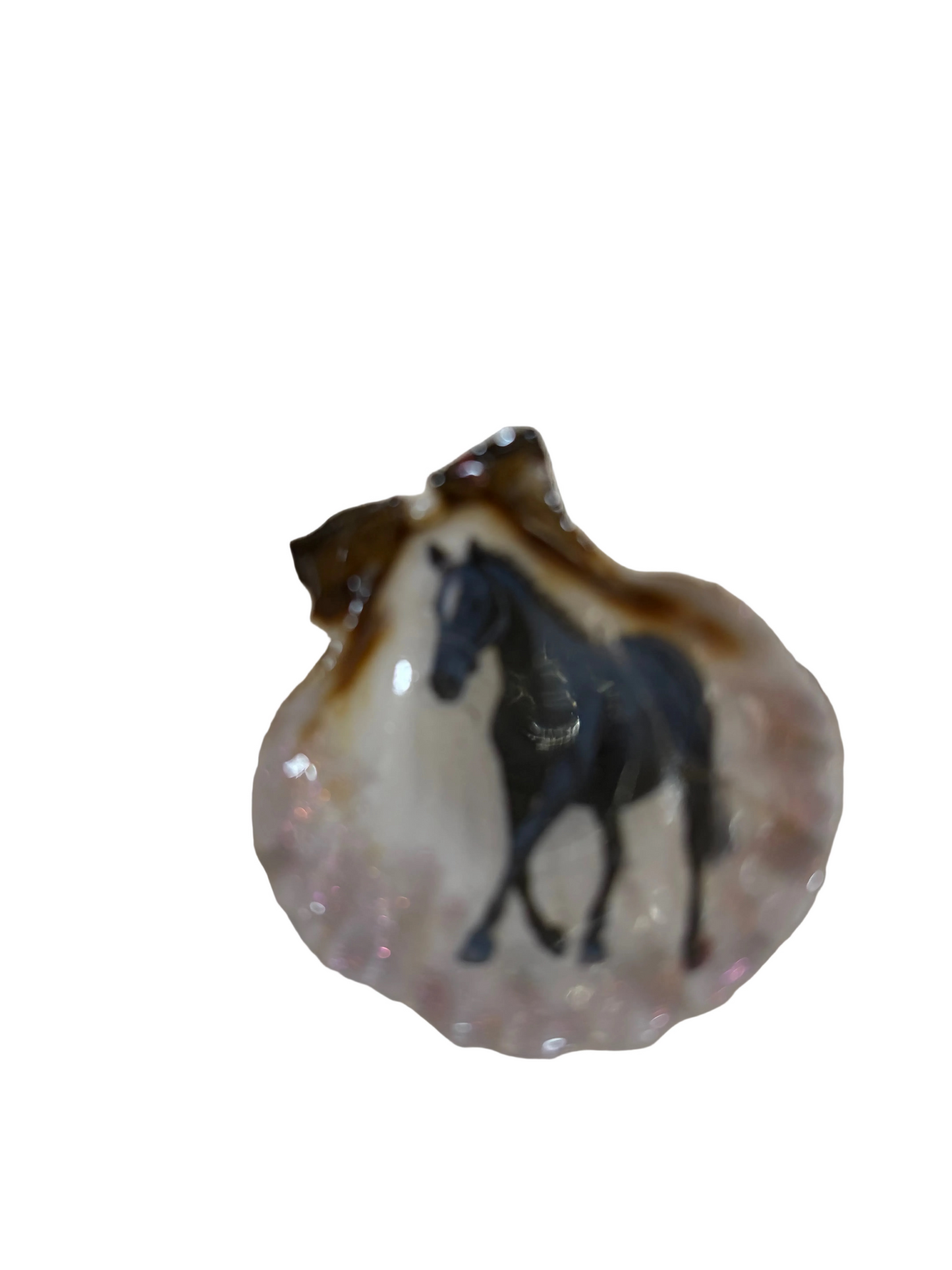 Resin Sea Shell Refrigerator Magnet Black Horse Theme