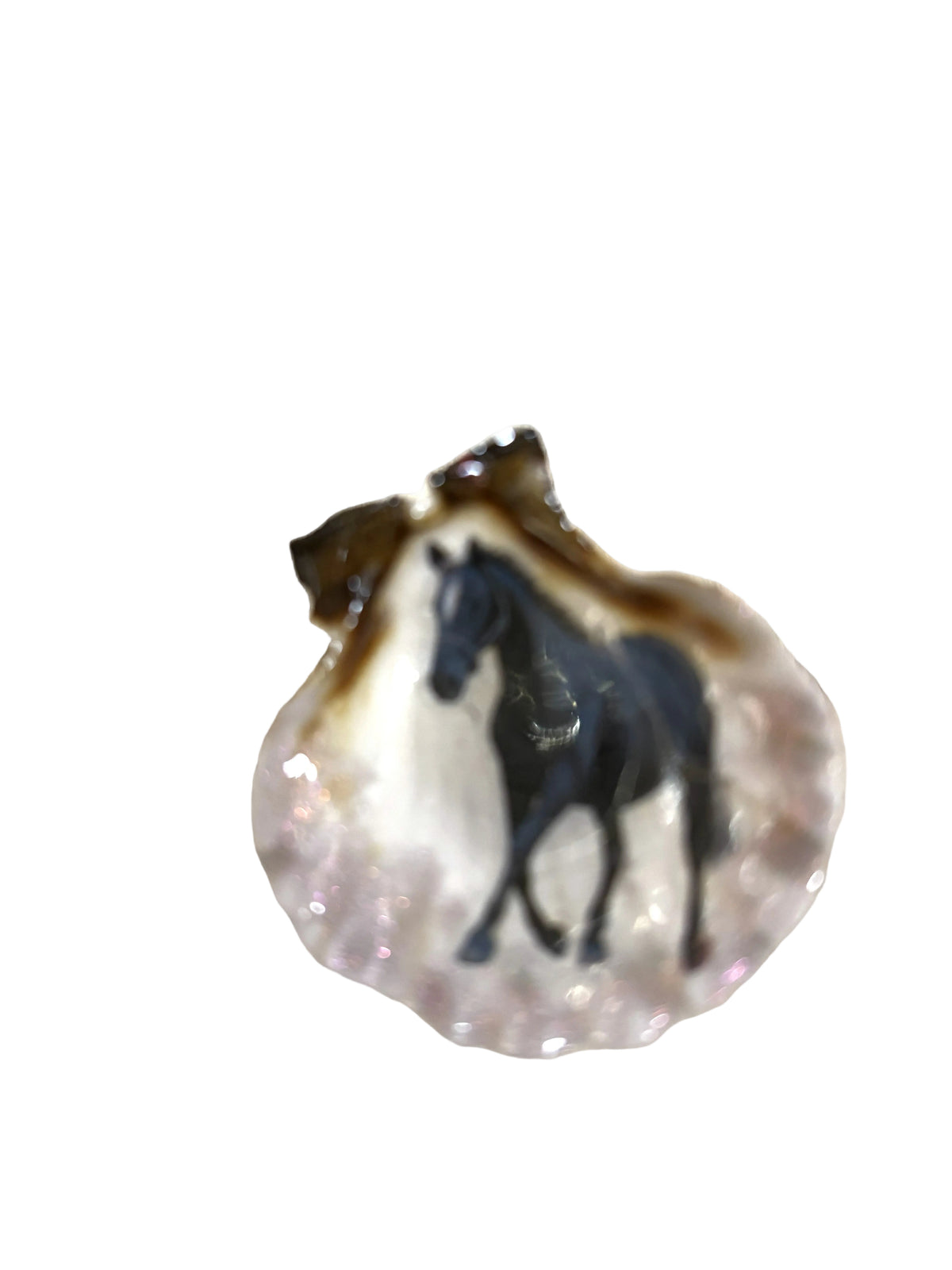 Resin Sea Shell Refrigerator Magnet Black Horse Theme