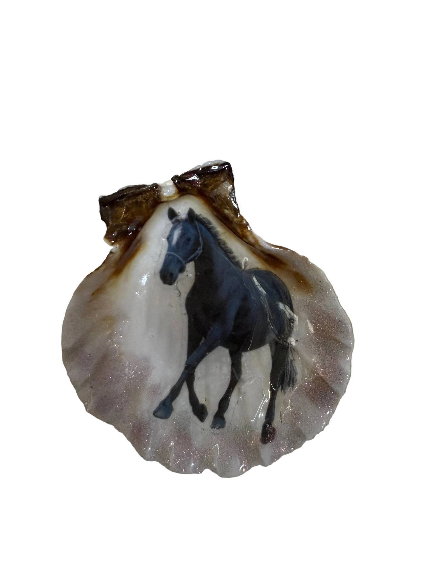 Resin Sea Shell Refrigerator Magnet Black Horse Theme