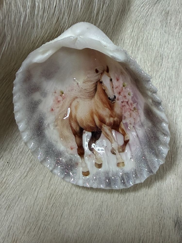 Resin Sea Shell Horse Theme Refrigerator Magnet